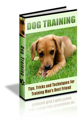 Product picture 90 Dog Training Tips + resell rights w/mrr