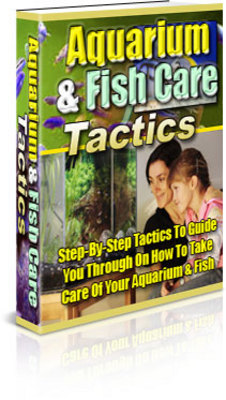 Product picture Aquarium & Fish Care Tactics w/mrr